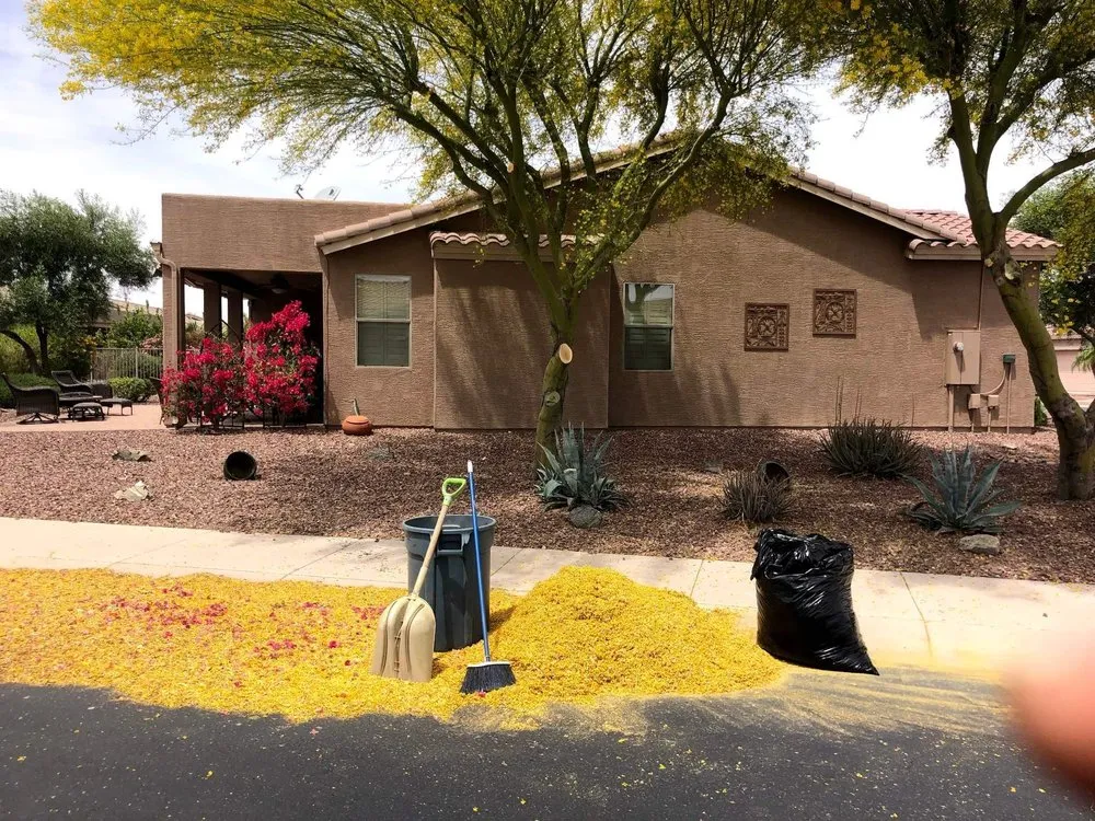 Professional lawn care service in Mesa, AZ by Armando’s Landscaping