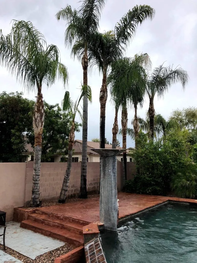 Affordable lawn care service with custom design in Mesa, AZ by Armando’s Landscaping