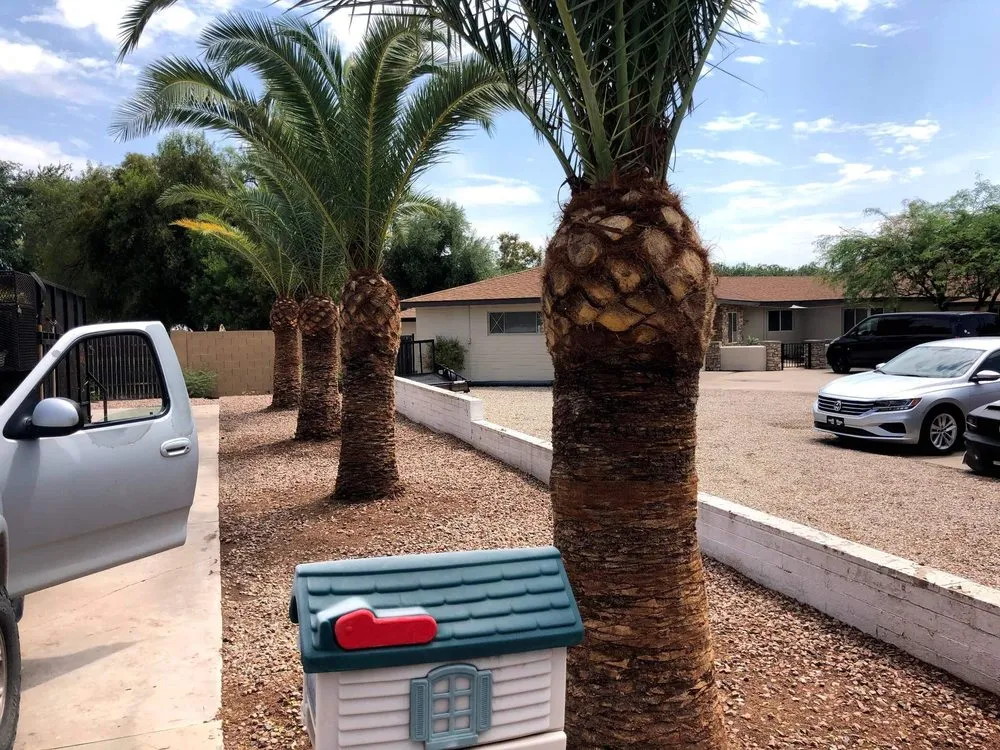 Reliable lawn mowing service with custom design across Mesa, AZ - Armando’s Landscaping