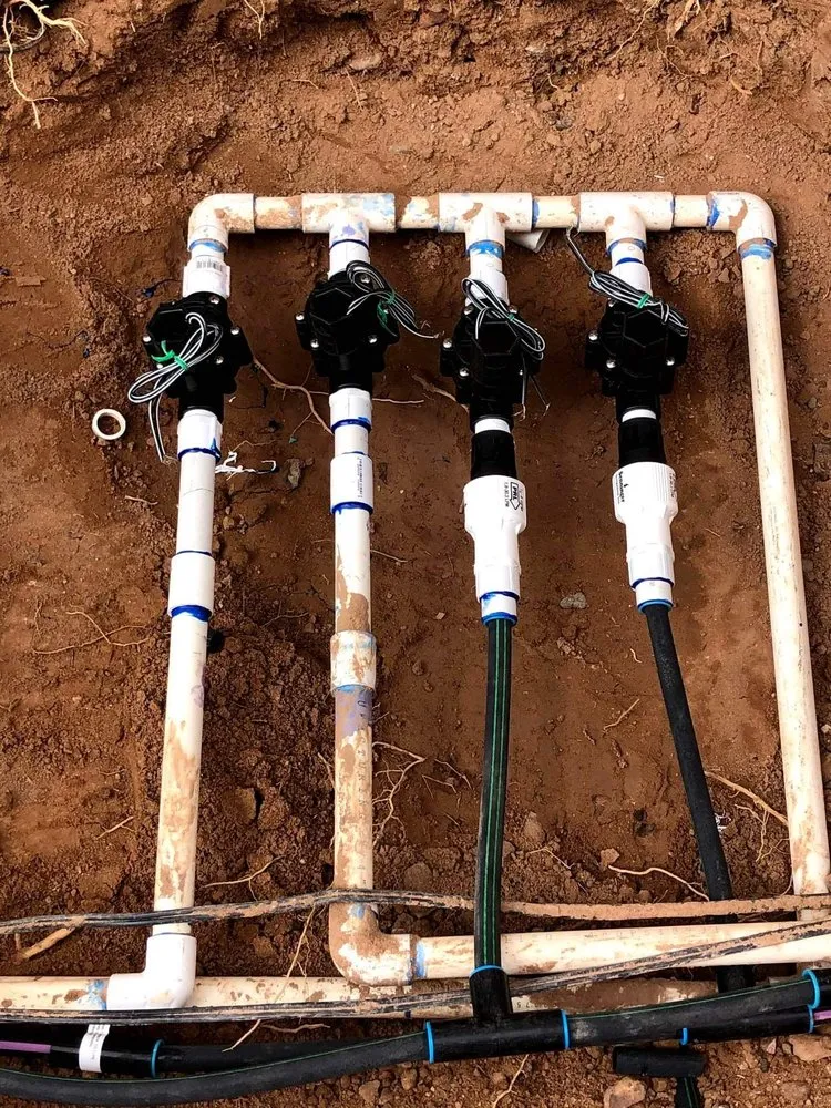 Expert lawn mowing service near you in Mesa, AZ by Armando’s Landscaping