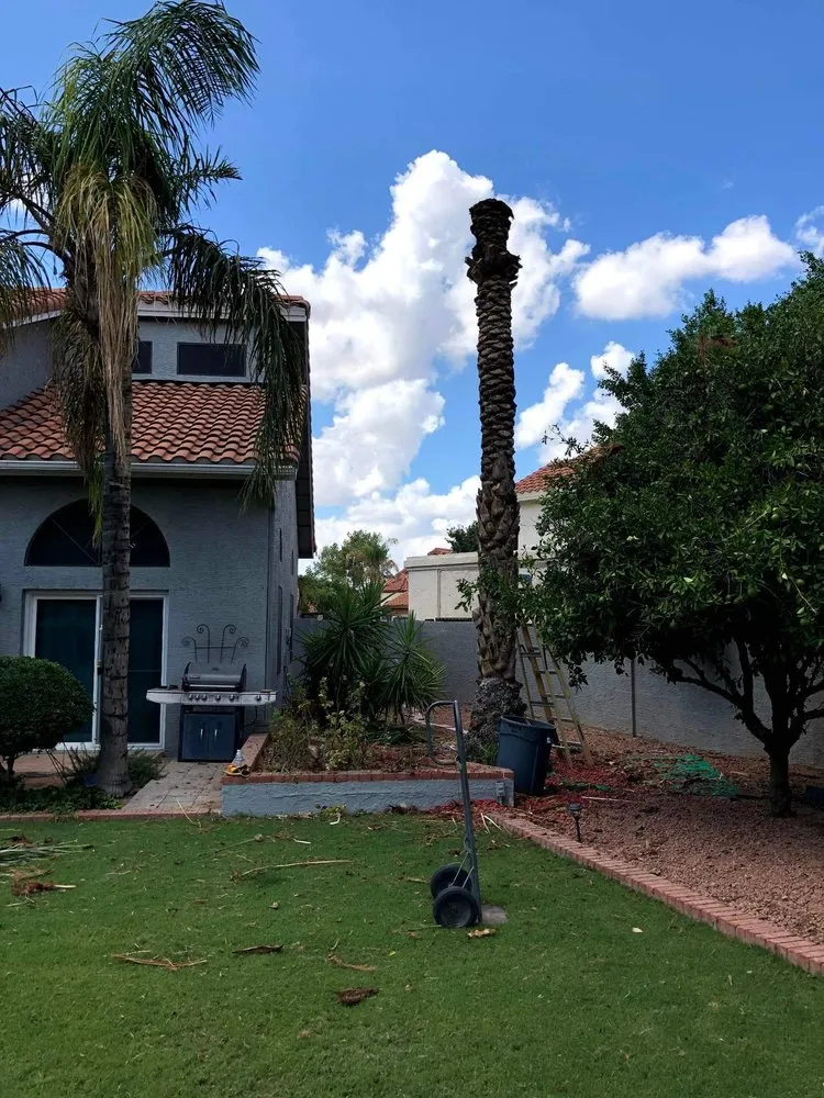 Custom residential landscaping in Mesa, AZ - Armando’s Landscaping