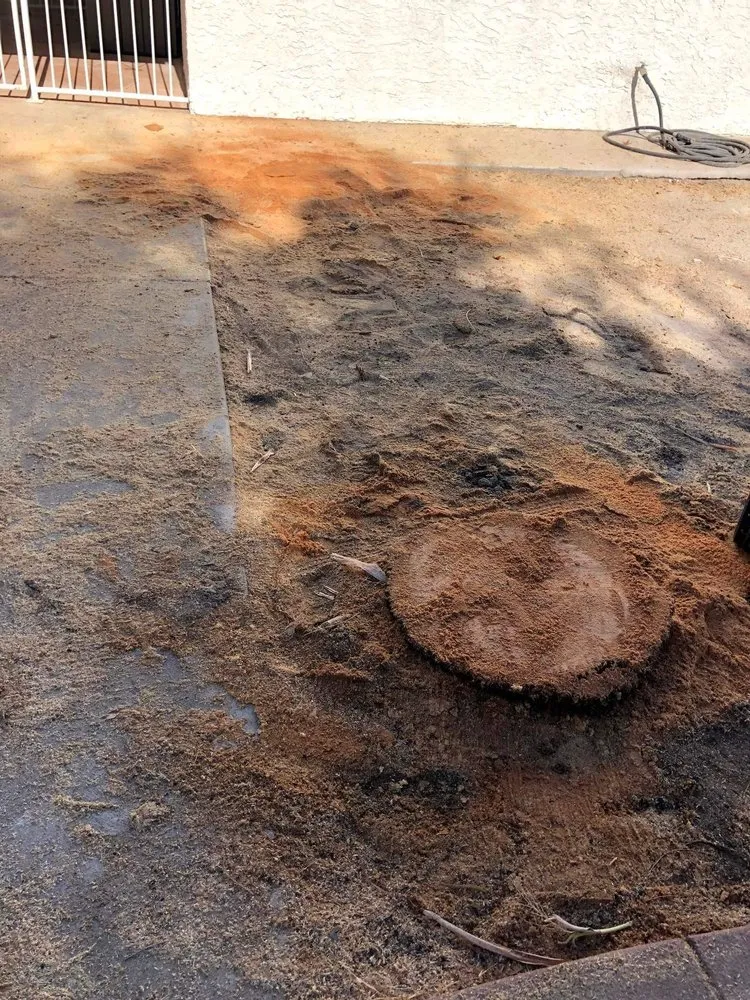 Expert landscape installation in Mesa, AZ - Armando’s Landscaping