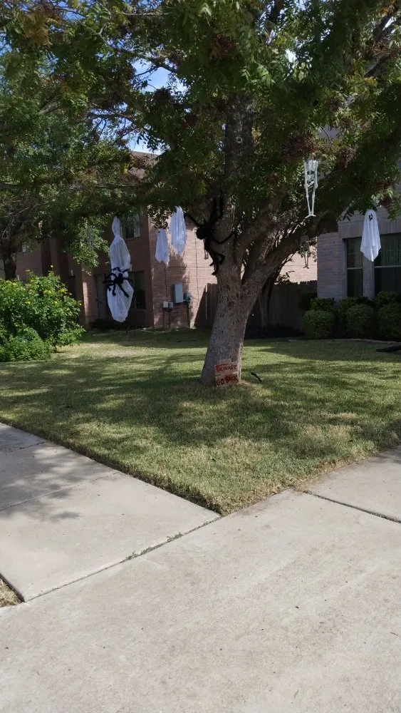 Local outdoor landscaping for residential properties in Round Rock, TX by Armando's Lawn