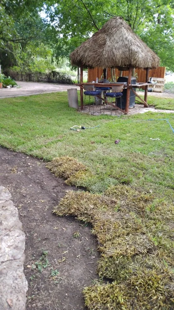 Reliable yard cleanup service for year-round maintenance across Round Rock, TX - Armando's Lawn