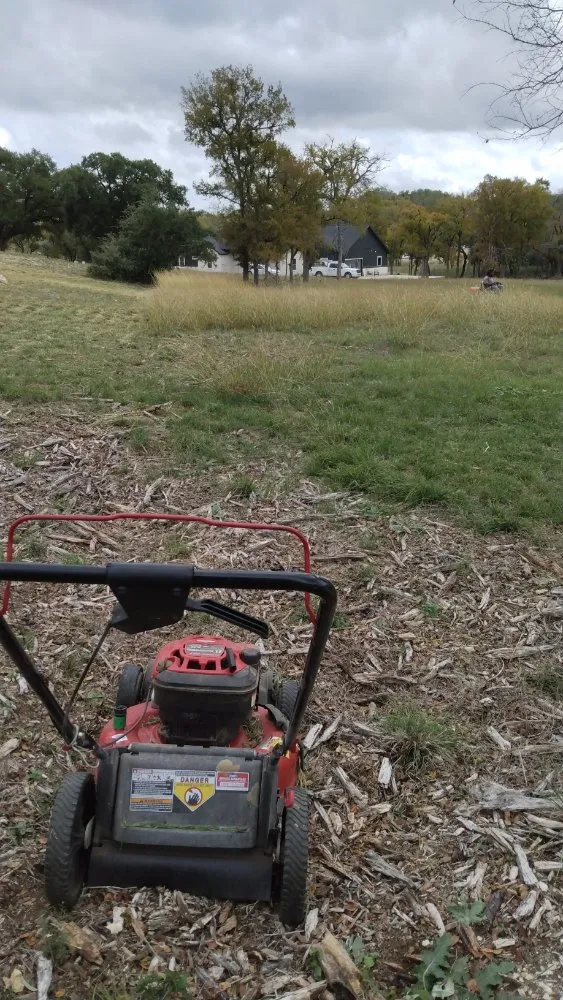 Professional garden landscaping in Round Rock, TX by Armando's Lawn