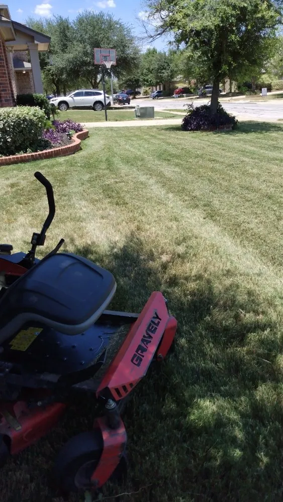 Trusted lawn mowing service experts serving Round Rock, TX - Armando's Lawn
