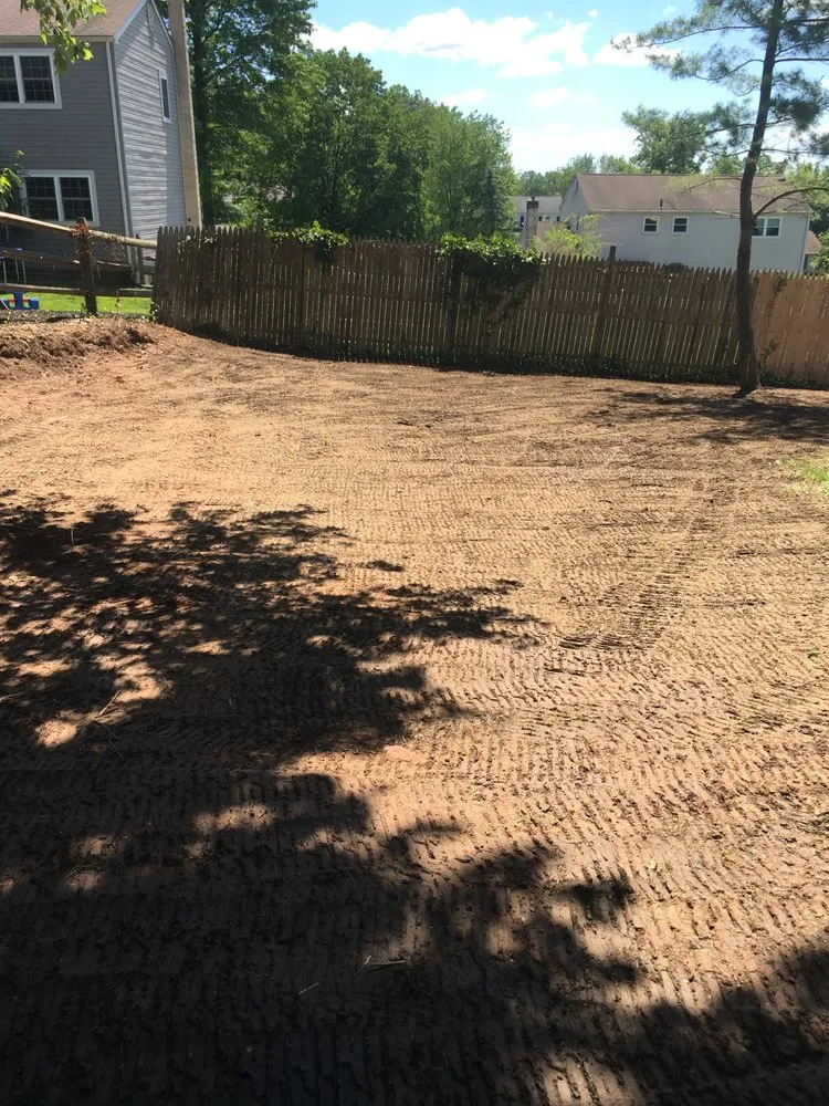 Custom yard cleanup service in Phoenixville, PA - Armando’s Professional Landscaping