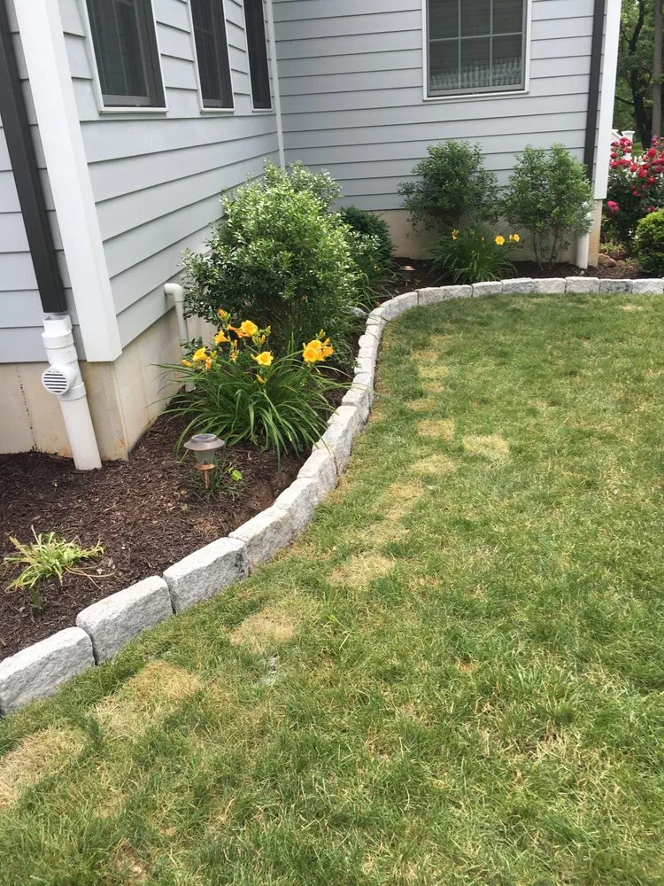 Local yard cleanup service experts serving Phoenixville, PA - Armando’s Professional Landscaping