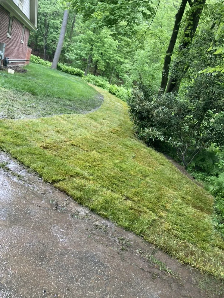 Custom garden landscaping in Phoenixville, PA by Armando’s Professional Landscaping