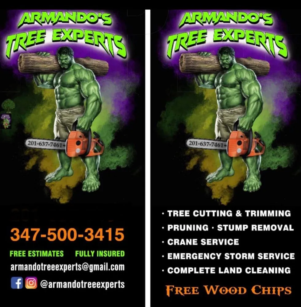 Professional lawn mowing service in Elmwood Park, NJ by Armando’s Tree Expert’s