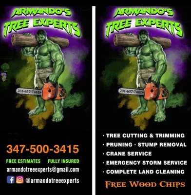 Armando’s Tree Expert’s
