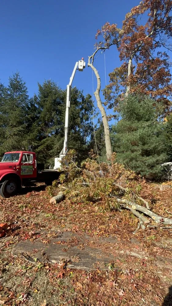 Custom residential landscaping in Covington, LA - Armando's Tree Service & Landscaping