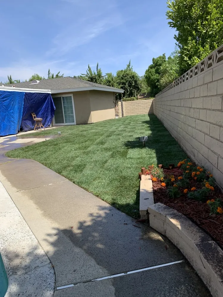 Custom landscape design near you in Rialto, CA by Armando's Tree Service