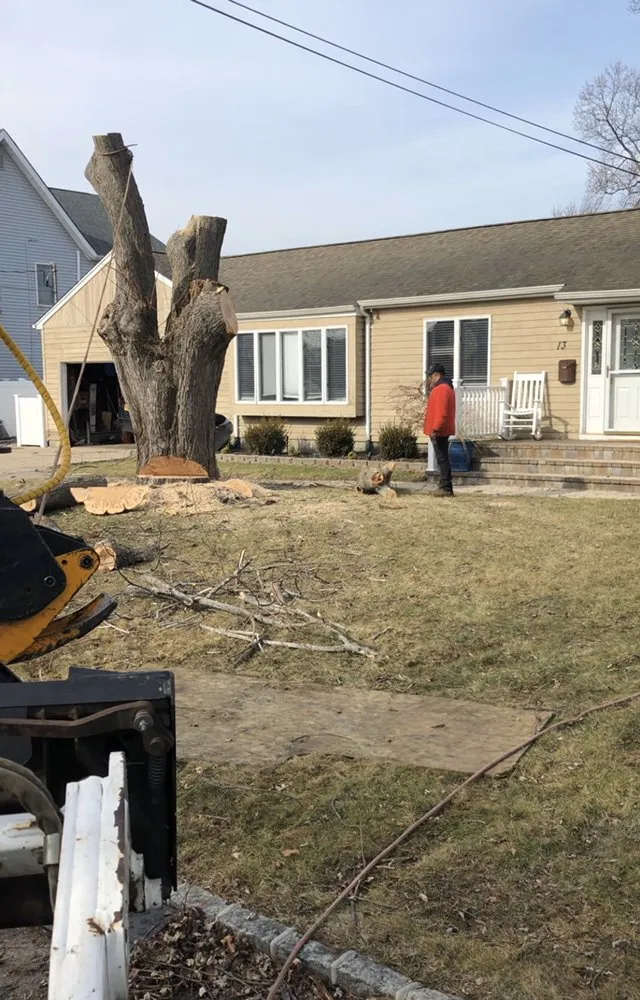Custom yard maintenance in Selden, NY - Armando's Tree Service