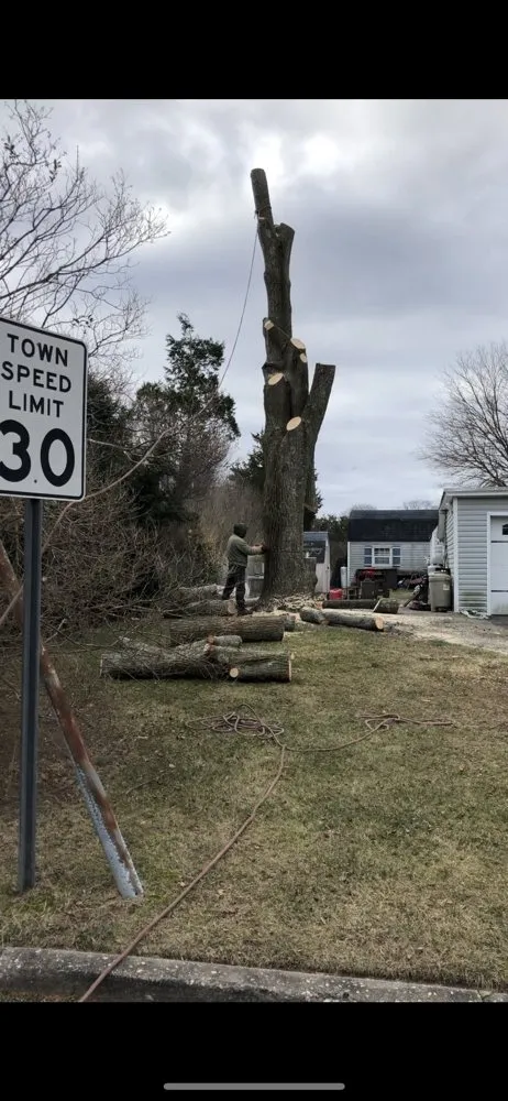 Affordable lawn mowing service for residential properties across Selden, NY - Armando's Tree Service