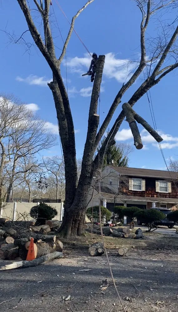 Expert landscape design in Selden, NY - Armando's Tree Service