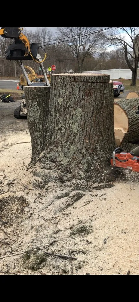 Custom landscape design in Selden, NY - Armando's Tree Service