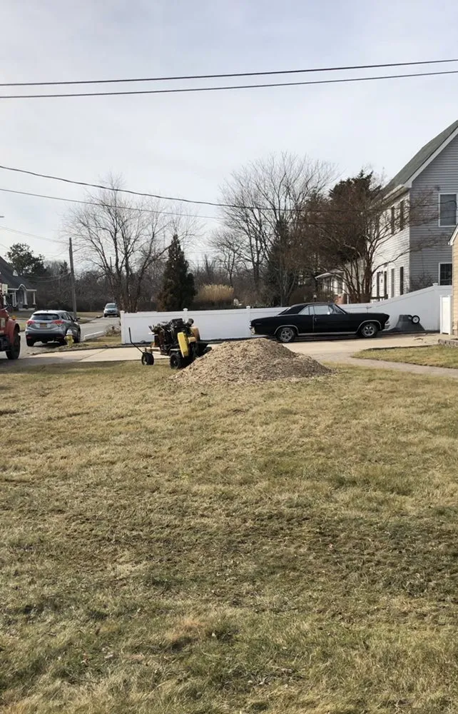 Professional yard maintenance in Selden, NY - Armando's Tree Service