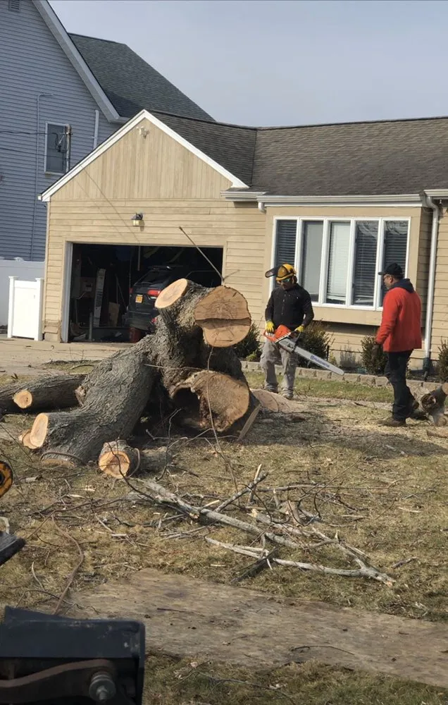 Reliable garden landscaping for homes across Selden, NY - Armando's Tree Service