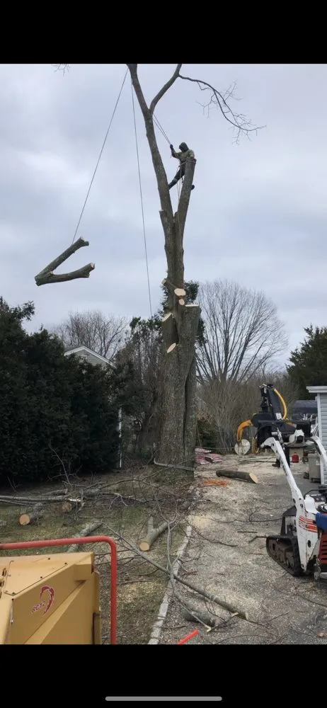 Trusted landscape design for outdoor upgrades in Selden, NY by Armando's Tree Service