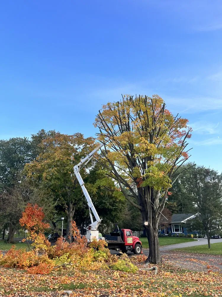 Top-rated garden landscaping for year-round maintenance in Selden, NY by Armando's Tree Service
