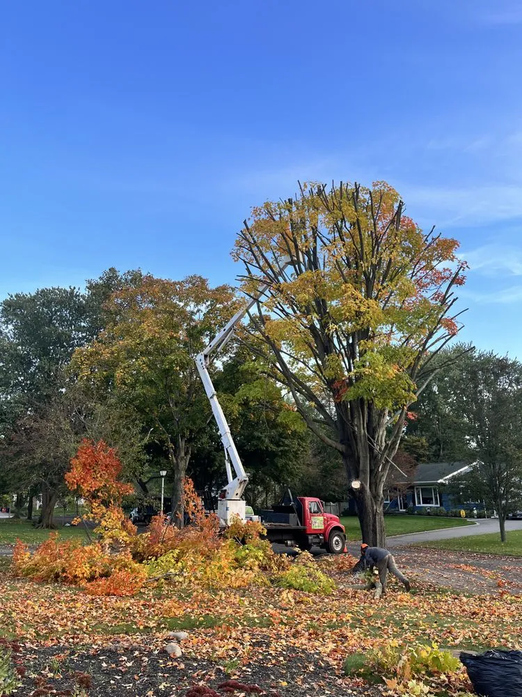 Professional landscape installation experts serving Selden, NY - Armando's Tree Service