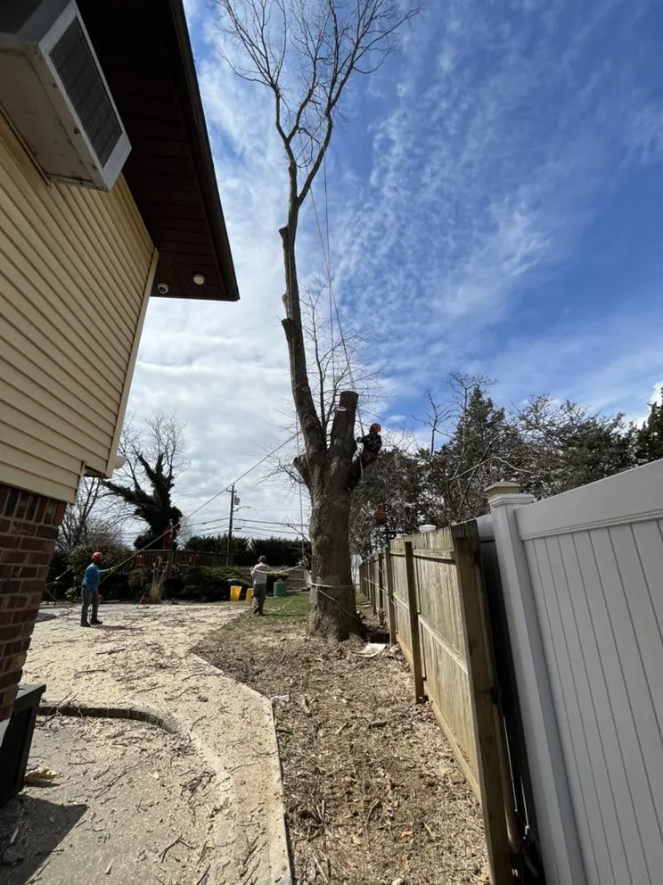 Expert landscape design near you across Selden, NY - Armando's Tree Service