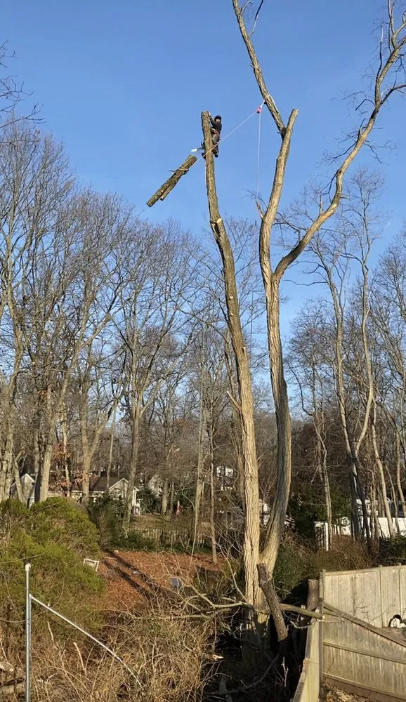 Expert outdoor landscaping experts serving Selden, NY - Armando's Tree Service