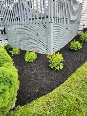 Armany Landscaping Logo