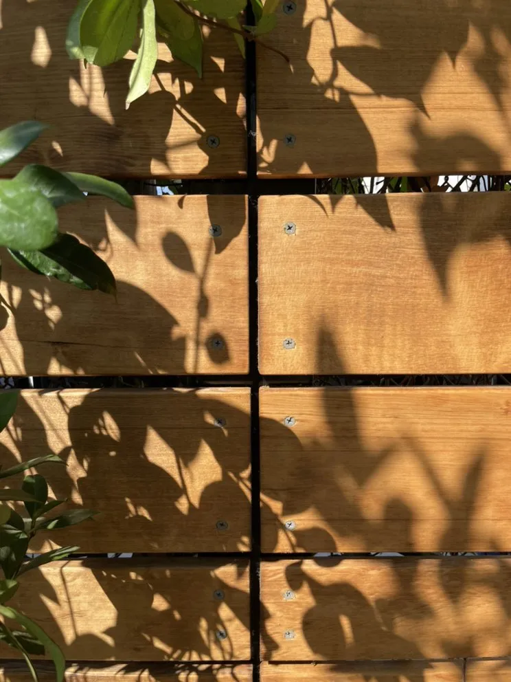 Local yard maintenance for beautiful yards across San Fernando, CA - Armas Landscape