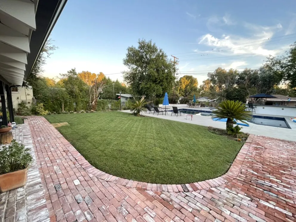 Expert yard cleanup service in San Fernando, CA by Armas Landscape