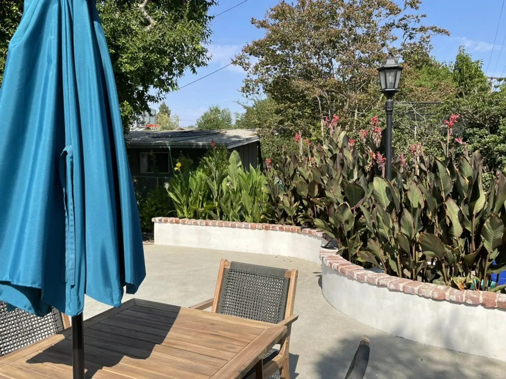 Affordable yard cleanup service in San Fernando, CA - Armas Landscape