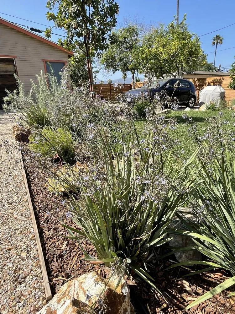 Professional landscaping services in San Fernando, CA by Armas Landscape
