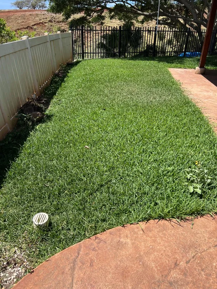 Trusted outdoor landscaping in Ewa Beach, HI - Armas Yard Services