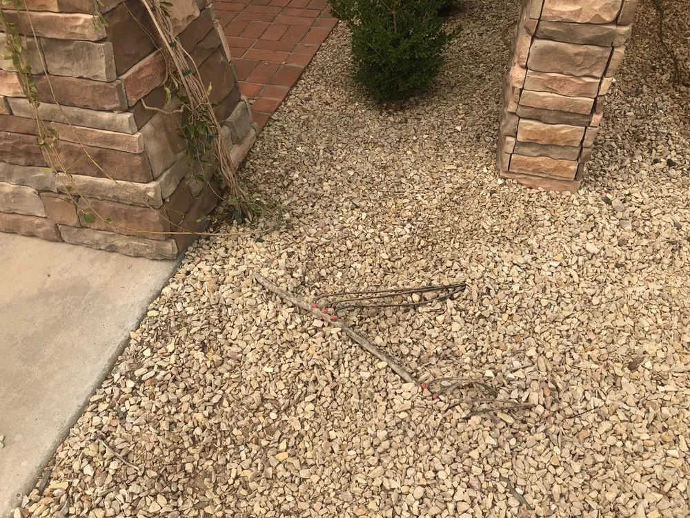 Reliable landscape design near you in El Paso, TX by Armendariz Gardens