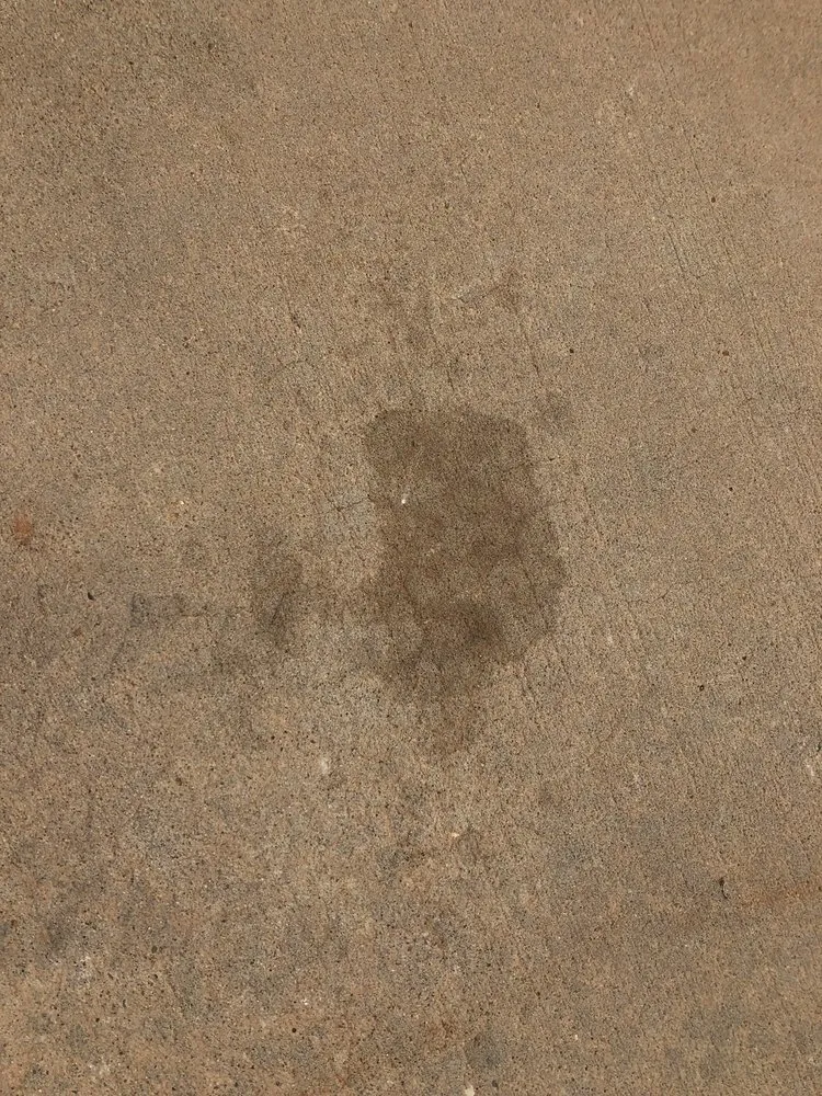 Custom lawn mowing service with custom design in El Paso, TX by Armendariz Gardens