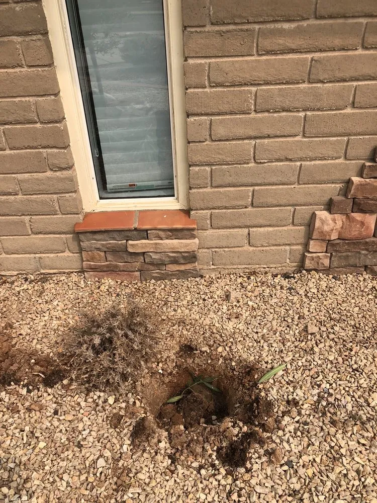 Affordable garden landscaping for beautiful yards in El Paso, TX by Armendariz Gardens