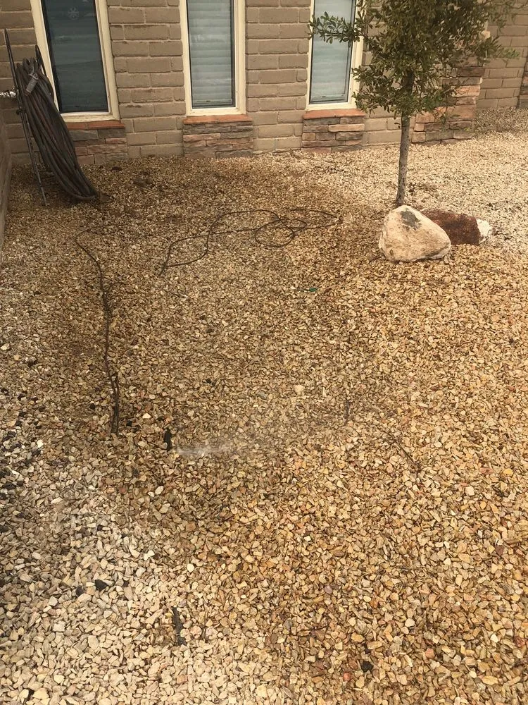 Expert yard cleanup service in El Paso, TX by Armendariz Gardens