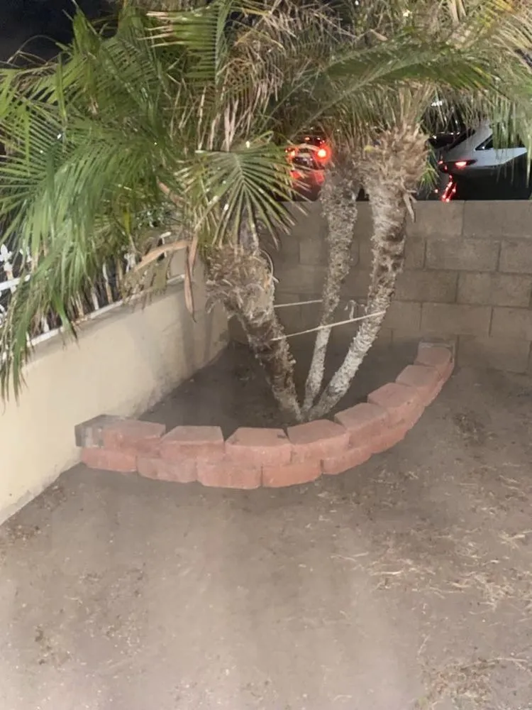 Custom garden landscaping experts serving Phoenix, AZ - Armenta Landscaping Services