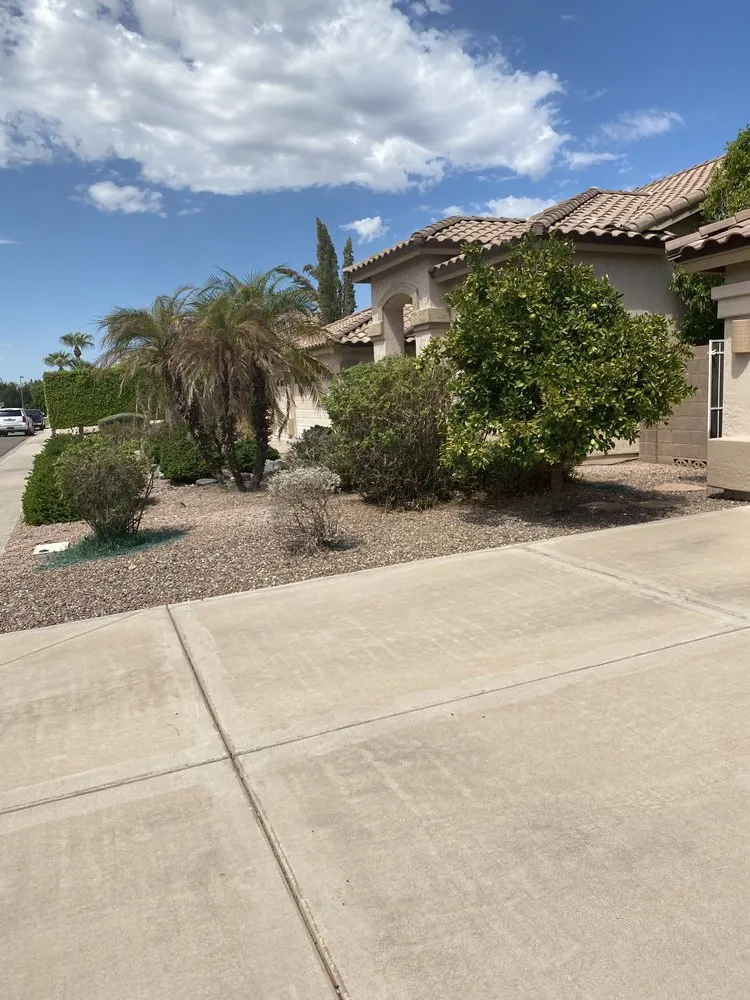 Affordable outdoor landscaping in Phoenix, AZ by Armenta Landscaping Services