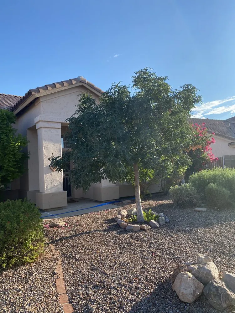 Local landscape installation for year-round maintenance in Phoenix, AZ by Armenta Landscaping Services