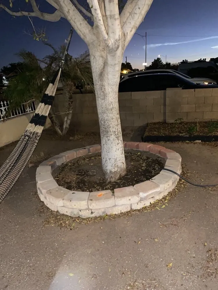 Professional lawn mowing service with custom design across Phoenix, AZ - Armenta Landscaping Services