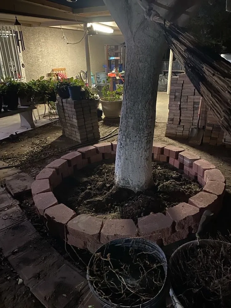 Reliable residential landscaping for residential properties across Phoenix, AZ - Armenta Landscaping Services