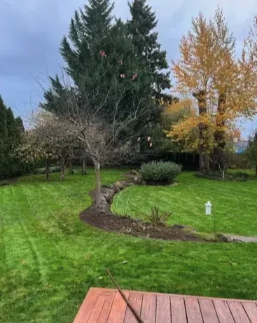 Reliable residential landscaping in Stayton, OR by Armenta Siblings Landscaping and Maintenance