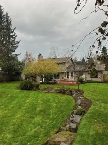 Trusted yard cleanup service in Stayton, OR by Armenta Siblings Landscaping and Maintenance