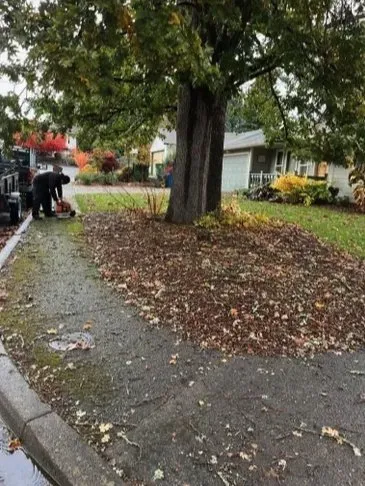 Affordable landscaping services for year-round maintenance in Stayton, OR by Armenta Siblings Landscaping and Maintenance