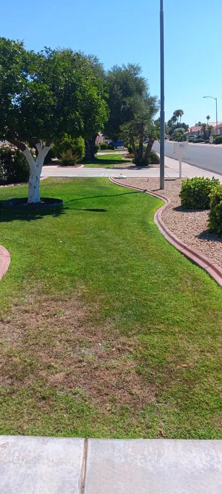 Local yard maintenance for outdoor upgrades across Sun City, AZ - Armin & Son Landscaping