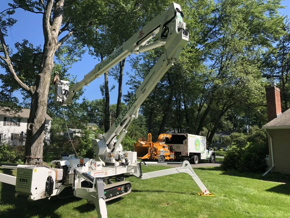 Professional outdoor landscaping near you in Kingston, NY by Armin's Tree Service