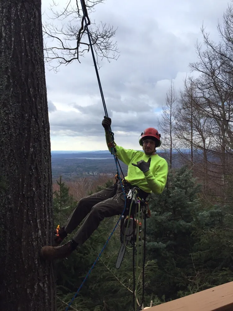 Reliable landscape installation for homes in Kingston, NY by Armin's Tree Service