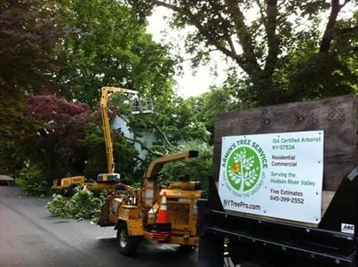 Trusted outdoor landscaping with custom design across Kingston, NY - Armin's Tree Service